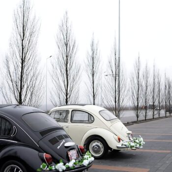 Volkswagen Beetle / ID 098 2 vw beetle