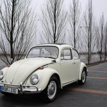 Volkswagen Beetle / ID 098 11 beetle