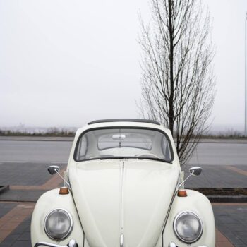 Volkswagen Beetle / ID 098 9 beetle