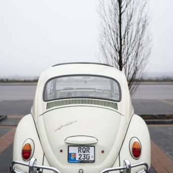 Volkswagen Beetle / ID 098 8 beetle