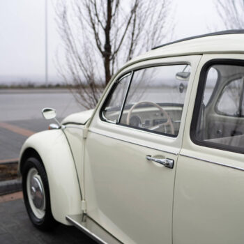 Volkswagen Beetle / ID 098 7 beetle