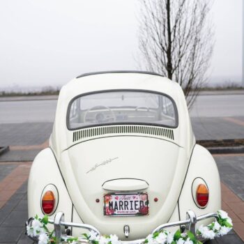 Volkswagen Beetle / ID 098 6 beetle