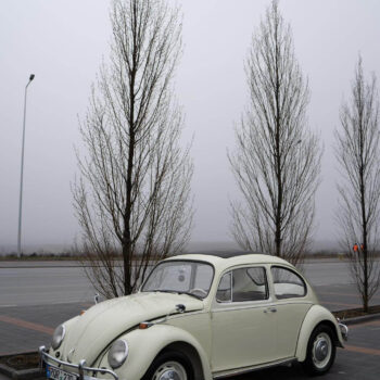 Volkswagen Beetle / ID 098 4 beetle