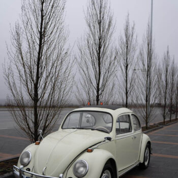 Volkswagen Beetle / ID 098 3 beetle